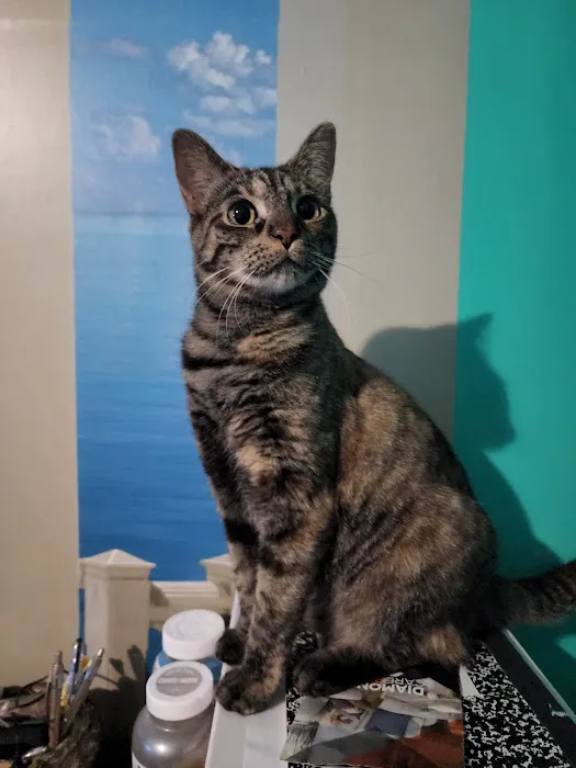Whiskers and Paws Veterinary Wellness Clinic Picture 2