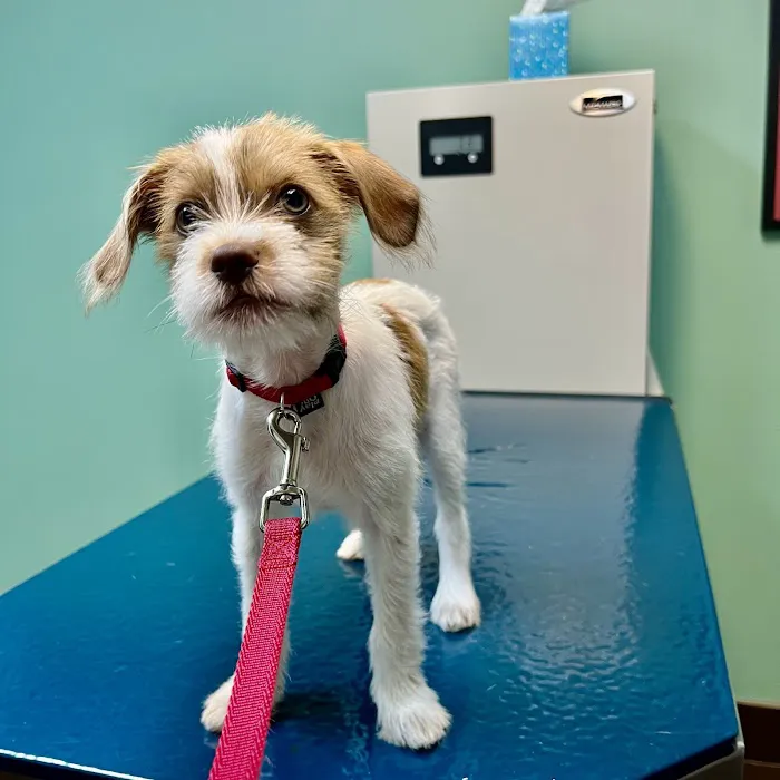 Animal Care Clinic of Concord Picture 2