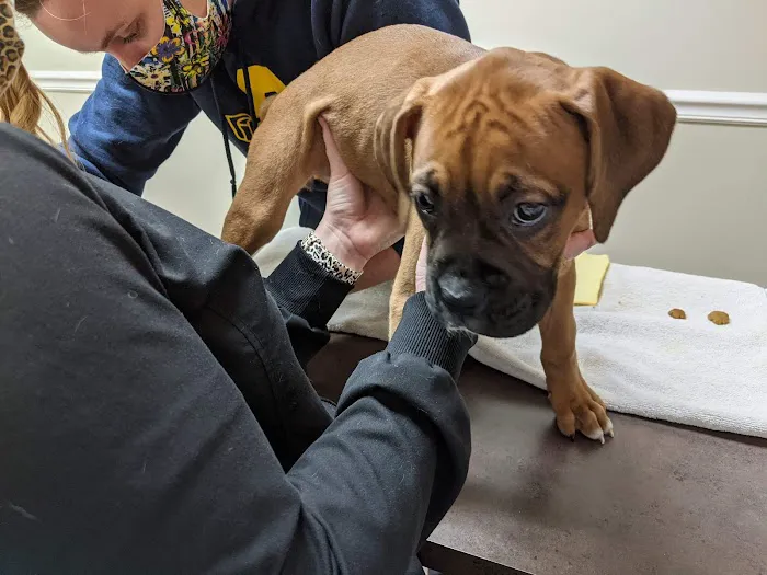 Concord Parkway Animal Hospital Picture 4