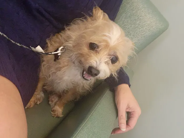 Concord Parkway Animal Hospital Picture 9