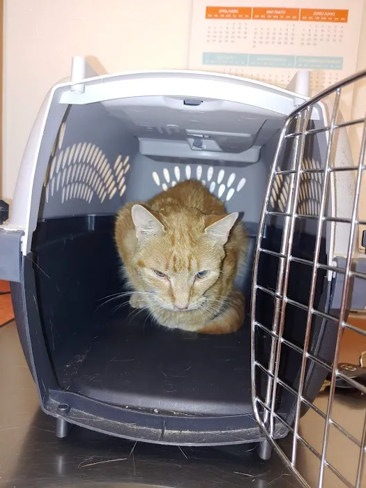 Banfield Pet Hospital Picture 5