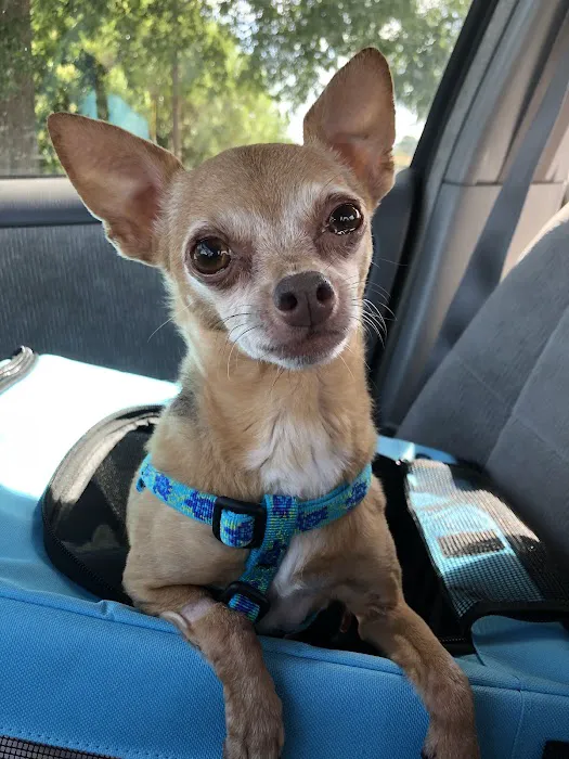 Banfield Pet Hospital Picture 1