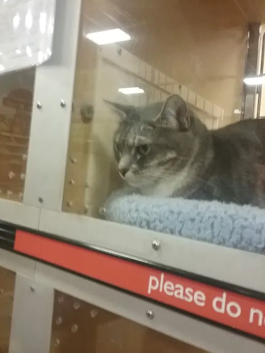 Banfield Pet Hospital Picture 6