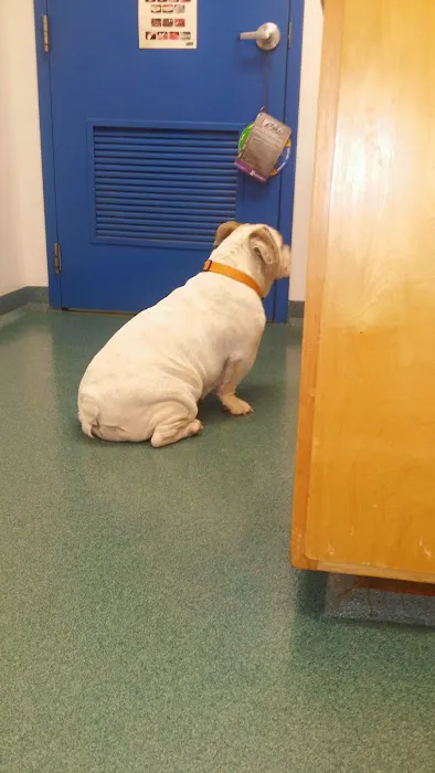 Asheboro Animal Hospital Picture 2