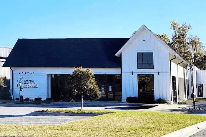 Animal Hospital Randolph Picture 10