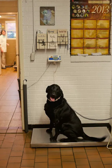 Animal Hospital Randolph Picture 3