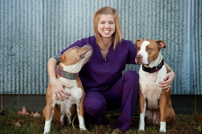 Animal Hospital Randolph Picture 5