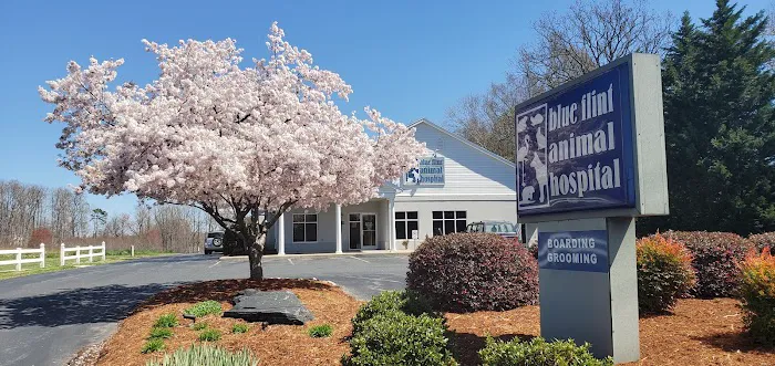 Blue Flint Animal Hospital Picture 4