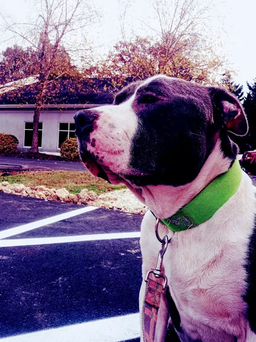 Blue Flint Animal Hospital Picture 6