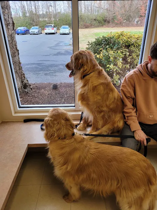 Blue Flint Animal Hospital Picture 5