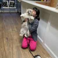 Mitchell Veterinary Hospital ico