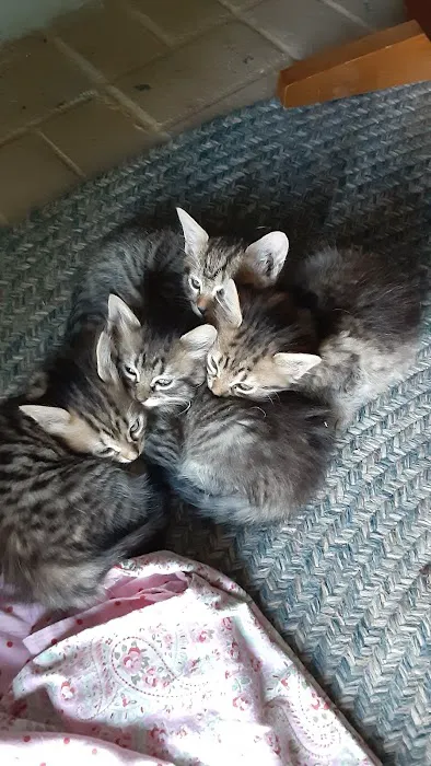Mitchell Veterinary Hospital Picture 4