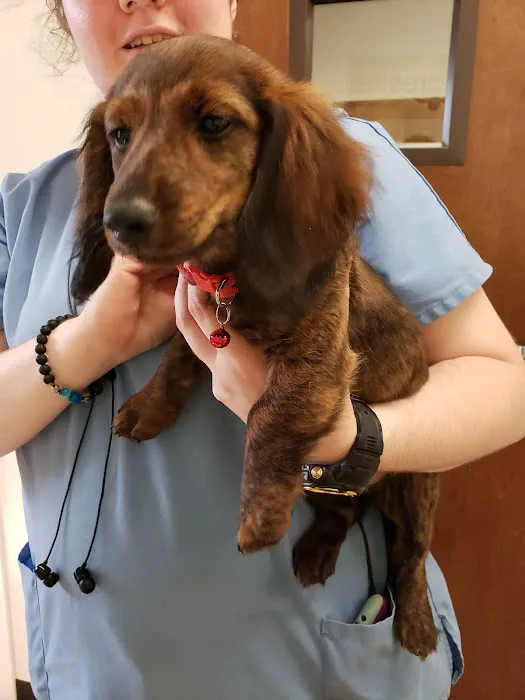 Stewart's Mountain View Animal Hospital Picture 4