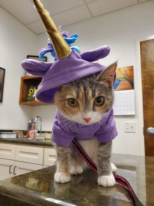 Stewart's Mountain View Animal Hospital Picture 7