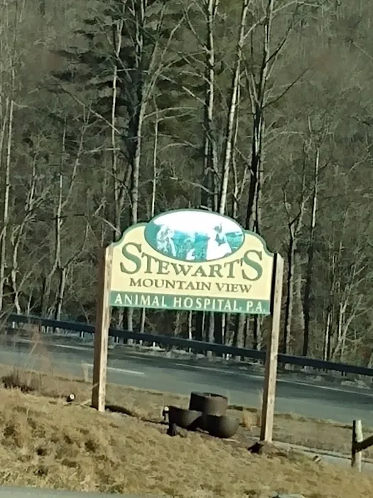 Stewart's Mountain View Animal Hospital Picture 10
