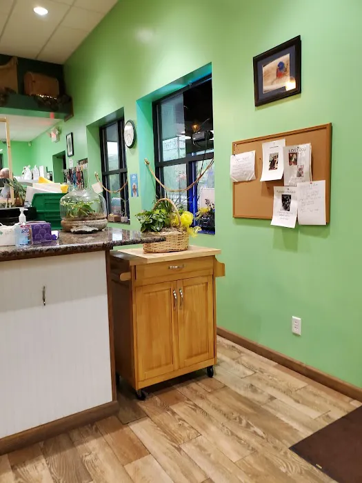 Stewart's Mountain View Animal Hospital Picture 2