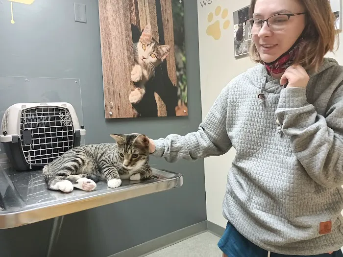 Elizabethton Veterinary Clinic Picture 4