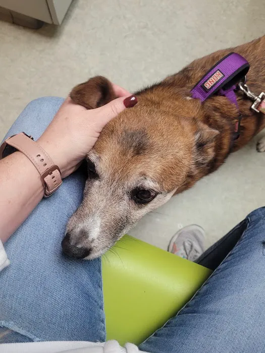 Elizabethton Veterinary Clinic Picture 5