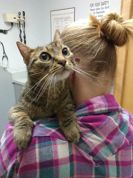 Elizabethton Veterinary Clinic Picture 1