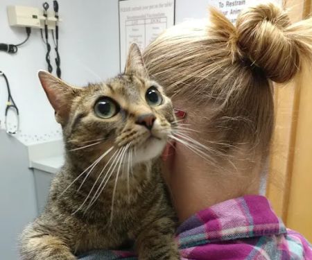 Elizabethton Veterinary Clinic