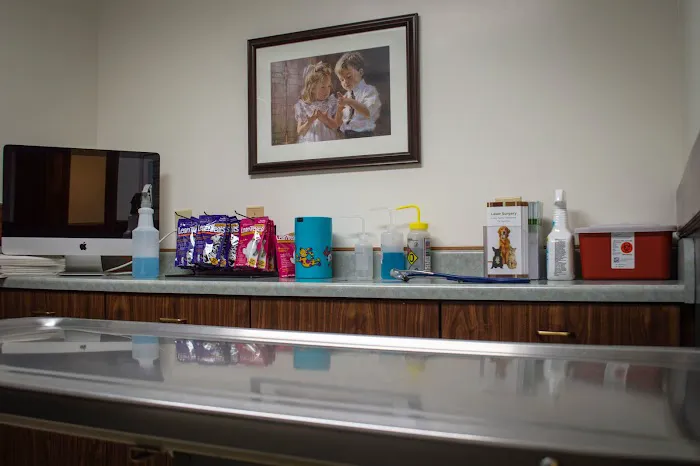 Pinecrest Veterinary Clinic Picture 4
