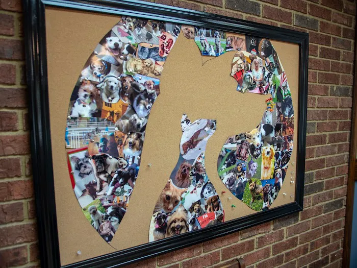 Pinecrest Veterinary Clinic Picture 10