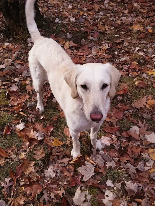 Unicoi Animal Hospital Picture 9