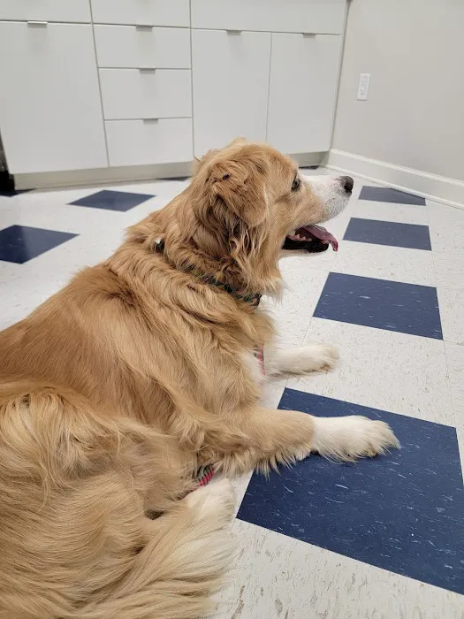 Robinson Animal Hospital Picture 5