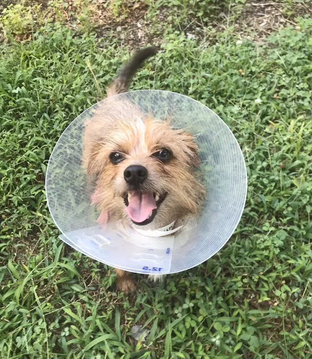 Five County Spay and Neuter Clinic Picture 10