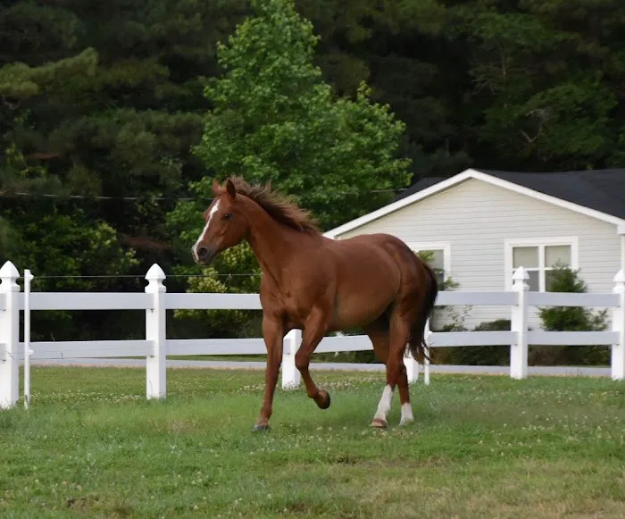 East Wake Animal Hospital Picture 6