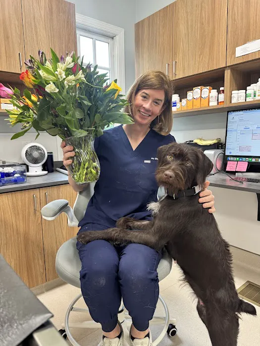 Southern Heart Veterinary Hospital Picture 3