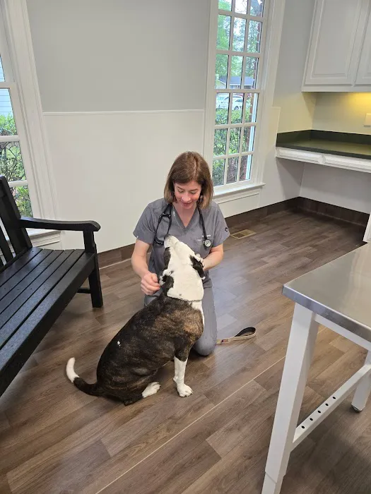 Southern Heart Veterinary Hospital Picture 10