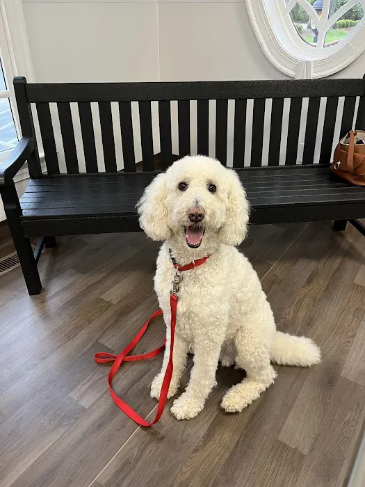 Southern Heart Veterinary Hospital Picture 6