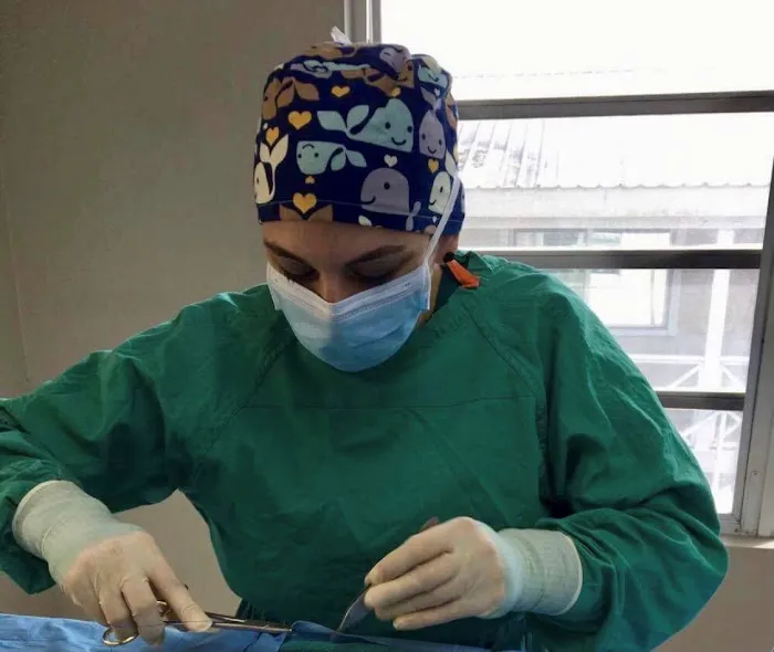 Kimberly Foca, DVM, MS Picture 1