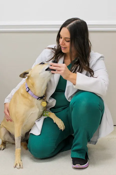 Wendell Animal Hospital Picture 1
