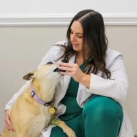 Wendell Animal Hospital ico