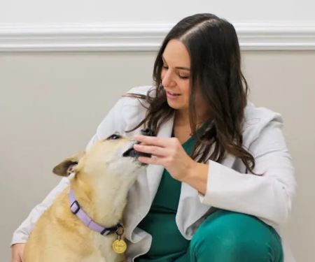 Wendell Animal Hospital
