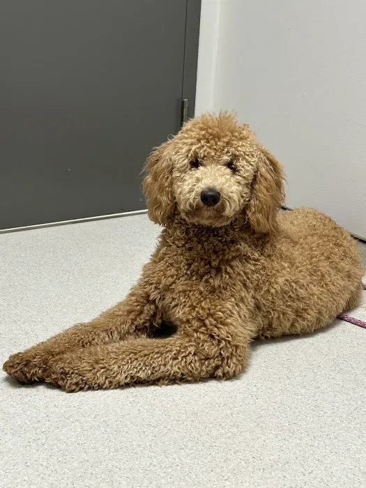 Wendell Animal Hospital Picture 2