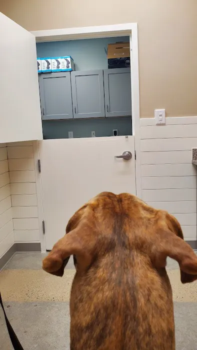 Warrenton Animal Clinic Picture 3