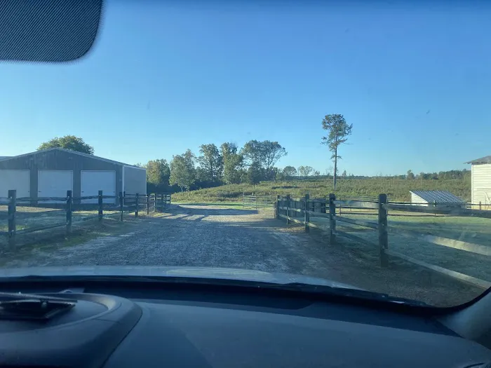 Warrenton Animal Clinic Picture 5