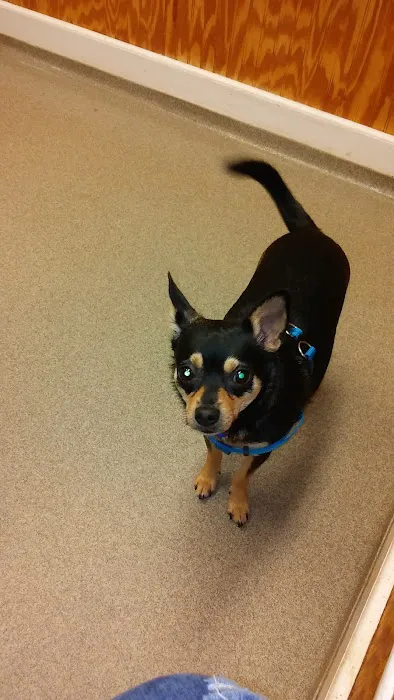 Warrenton Animal Clinic Picture 2