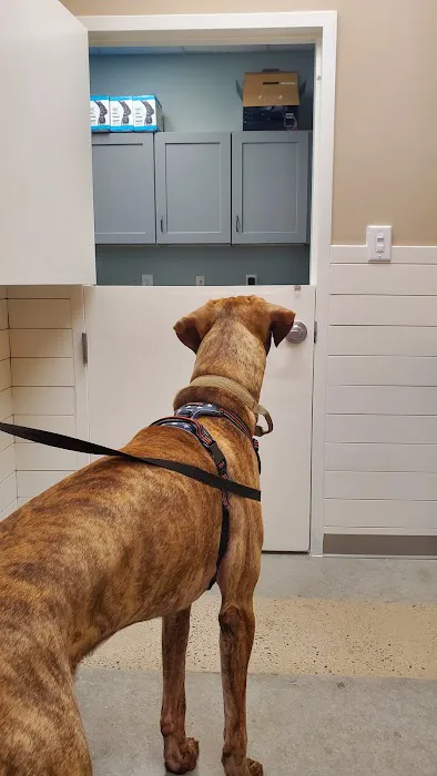 Warrenton Animal Clinic Picture 4