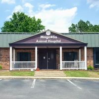 Magnolia Animal Hospital: Danford Teresa DVM ico