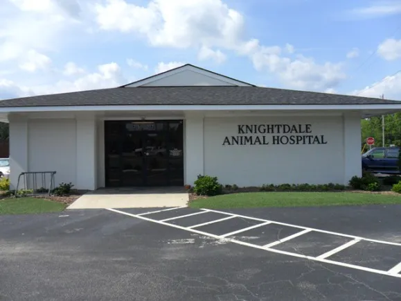 Knightdale Animal Hospital Picture 7