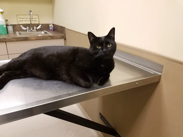 Smithfield Road Veterinary Hospital Picture 4