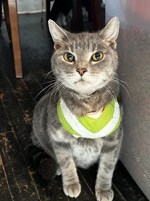 Smithfield Road Veterinary Hospital Picture 10