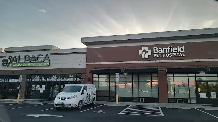 Banfield Pet Hospital Picture 1
