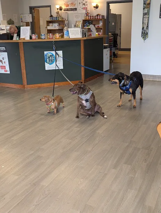 Magnolia Animal Hospital Picture 6