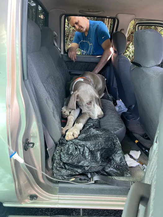 Animal Emergency Hospital & Urgent Care Picture 5