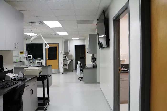 Walnut Street Animal Hospital Picture 1
